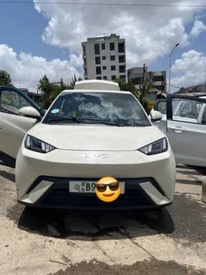 BYD Seagull 2024 Automatic