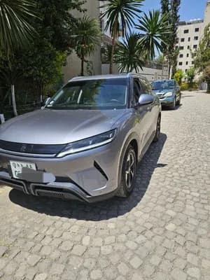 BYD Yuan Up Electric 2025