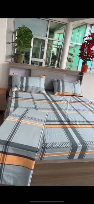 4-Piece Cotton Bedsheet Set