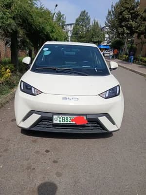 BYD Seagull 2024 Electric