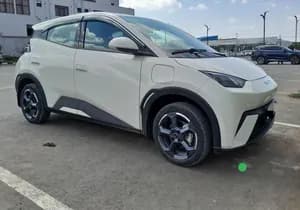 BYD Seagull Premium 2025