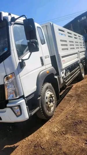 Sinotruk FSR Truck 2025