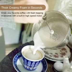 Handheld Electric Milk Frother