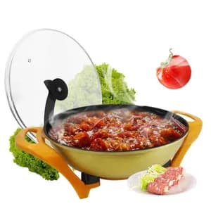 Electric Cooking Pot