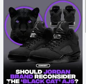 Jordan 5 black cat