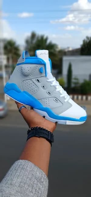 air Jordan six 6