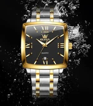 OLEVS Stainless Steel Gentleman Watch
