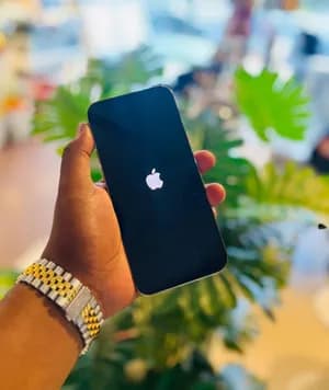 iPhone 12 Pro Max 256GB