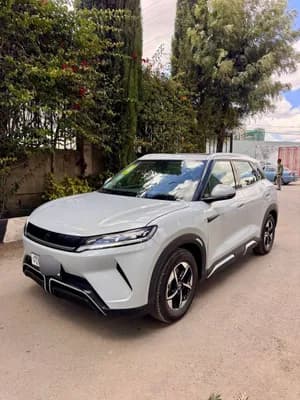 BYD Yuan Up Basic Smart 2024