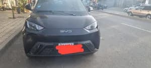 BYD Seagull Flying Electric 2024