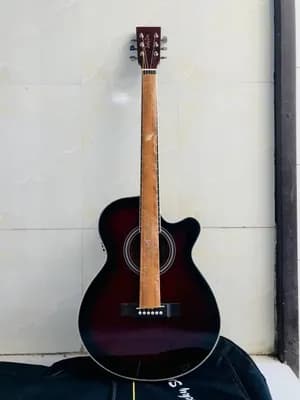 Luckystar Electric Acoustic Guitar