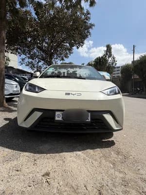 BYD Segul 2024/6 Electric Automatic