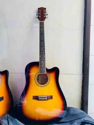 Smiger Semi Acoustic Guitar