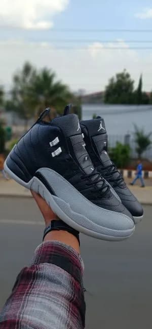Air Jordan 12 retro
