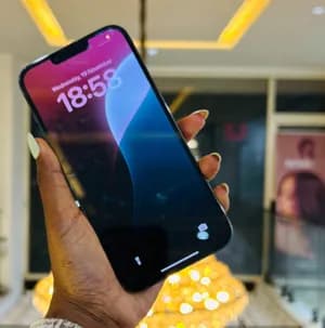 iPhone 13 Promax