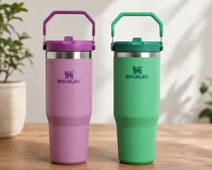 Stanley Insulated Tumbler Purple Green