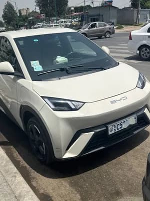 BYD Seagull 2024 Electric