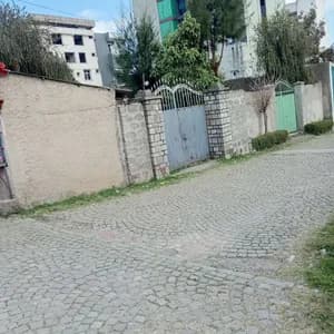 Old Villa House 220 Sqm Compound