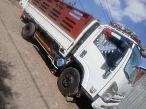 2017 Isuzu Cargo Truck
