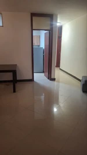 አያት 150 ካሬ 3 መኝታ አፓርትመንት