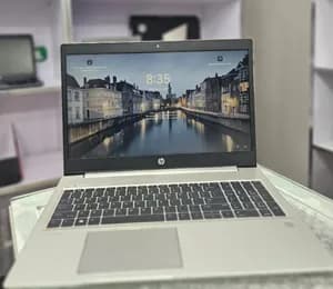 HP ProBook 455R G6 Laptop