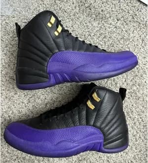 Air Jordan 12 purple