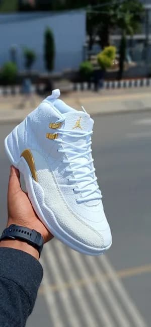 Air Jordan 12 Retro
