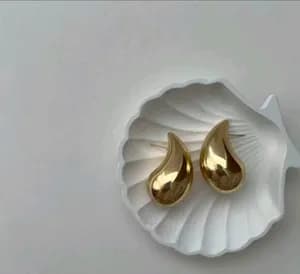 Stainless steel turkey earing