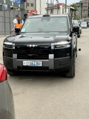2025 BYD Leopard Titanium 7 PHEV