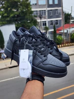 Air jordan 1 dunk