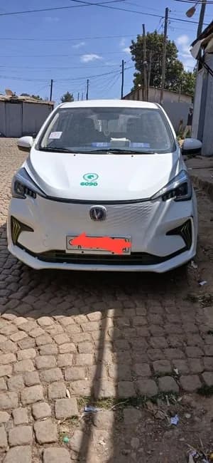 Changan E-Star EV-310
