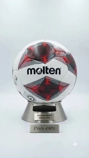 Molten Professional Match Football
