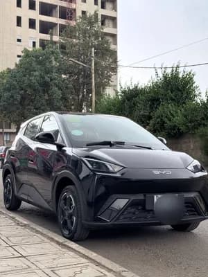 BYD Seagull Premium 2023