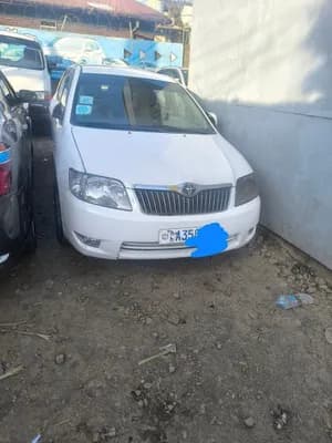 Toyota Corolla 2007 Manual