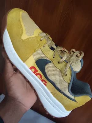 Nike ACG Sneakers Size 42.5