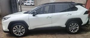 Toyota RAV4 2020 Model