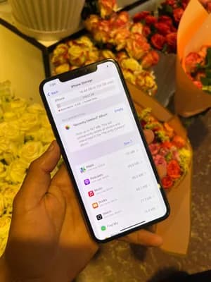 Apple iPhone XS Max