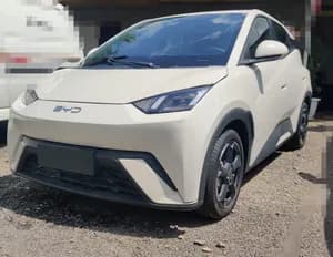 BYD Seagull 2024 Electric