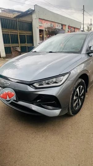 BYD e2 2024