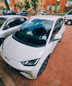 BYD Electric Car 2025 Model