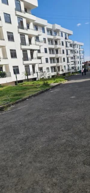 አፓርትመንት 116 ካሬ