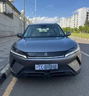 BYD Yuan Up Basic 2024