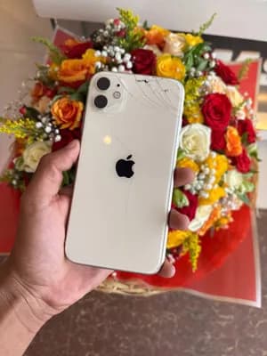 iPhone 11 256GB