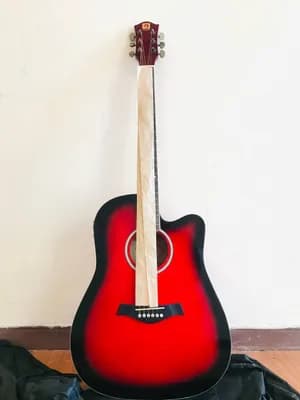 Vangao Semi Acoustic Guitar