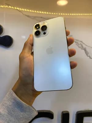iPhone 13 Pro Max 256GB