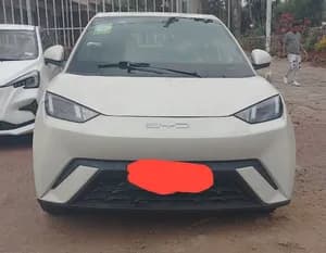BYD Seagull 2024 Electric SUV