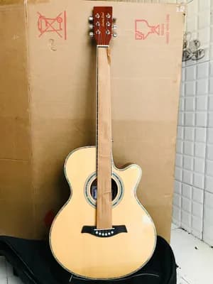 Lucky Star Semi Acoustic Guitar