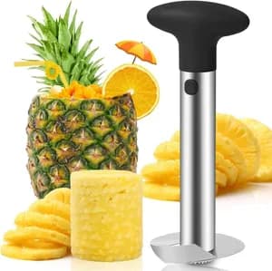 Stainless Steel Pineapple Peeler