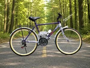 Phoenix 26-Inch Purple Bicycle