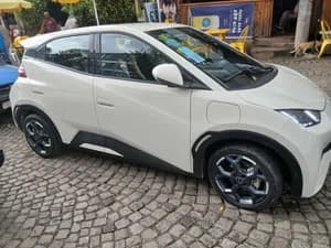 BYD Seagull 2024/12